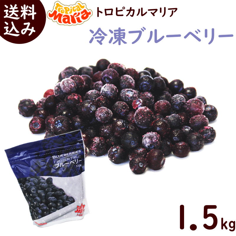 冷凍フルーツ 業務用 冷凍ブルーベリー 送料無料 冷凍ブルーベリー 1.5kg 500g×3袋 冷凍 ブルーベリー ..