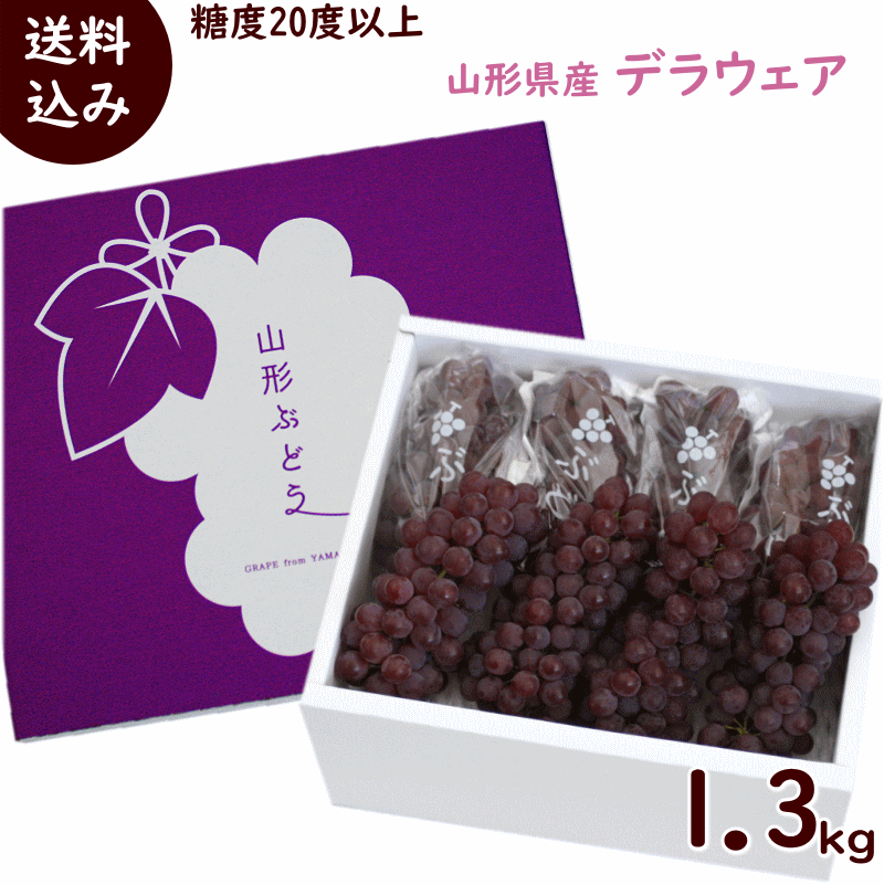 ぶどう デラウェア 送料無料 山形県産 デラウェア 1.3kg (6〜8房)