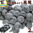 ぶどう 山形産 高尾ぶどう 2kg(3~5房)種なし・大粒 黒ぶどう 贈答用にも人気!産地直送 送料無料
