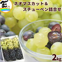 ぶどう 山形県 スチューベン&ネオマスカット詰合せ 2kg 秀品 各3〜5房