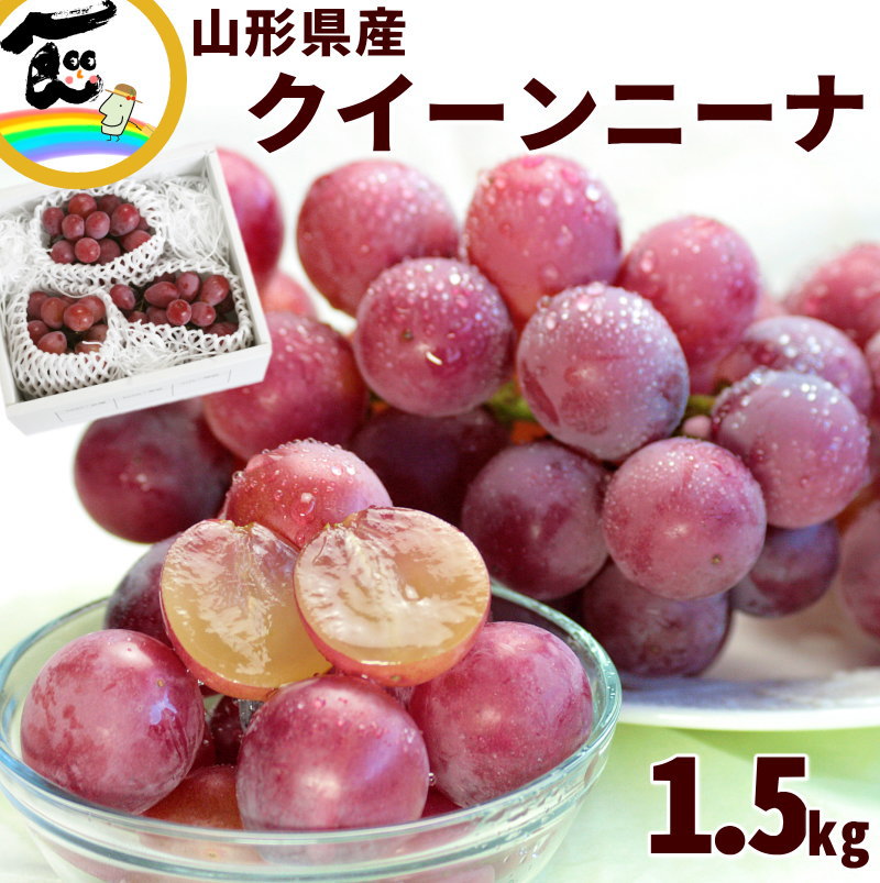 ぶどう 山形県産 クイーンニーナ 大粒ぶどう 赤系ぶどう 秀品 1.5kg (3房)のサムネイル