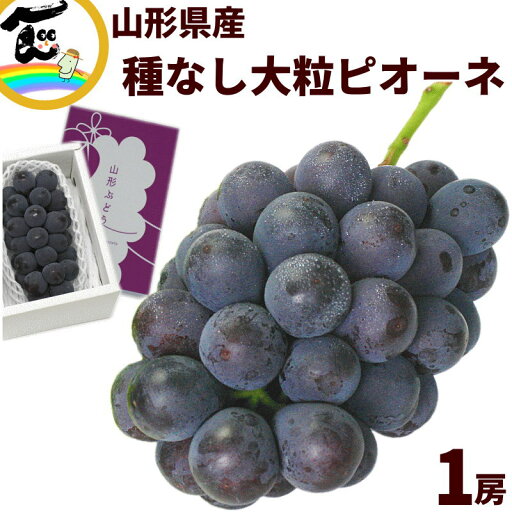 ぶどう 山形産 大粒ピオーネ 種なし 1房 約600g 秀品 黒ぶどう 産地直送 フルーツ 贈答用にも ぶどう 山形産 大粒ピオーネ 種なし 1房 約600g 秀品 黒ぶどう 産地直送 フルーツ 贈答用にも