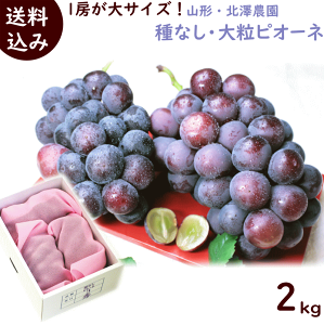 ぶどう 送料無料 山形県 北澤農園 大粒 種なし ピオーネ 秀品 2kg ( 3〜4房 )