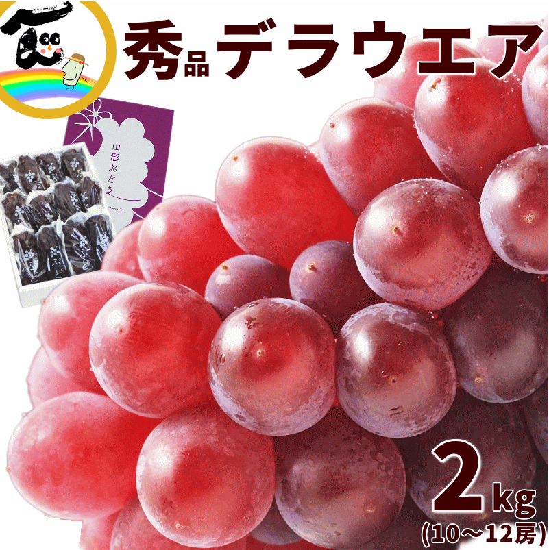 ぶどう 葡萄 山形 デラウェア 2kg (10〜12房) ブドウ 秀品 糖度 20度 甘い 山形 葡萄 山形 ぶどう