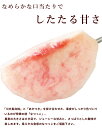 長野県産 なつっこ 桃 2kg (5〜8玉) 秀品 momo モモ 2