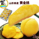【今だけ 10%オフ!】もも 山形県産 黄金桃 3kg (9~12玉) 秀品