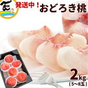 【発送中】 おどろき 山形 おどろき桃 2kg (5~8玉) 秀品 momo おどろき桃 品種 桃 山形県産 白桃 山形 お中元 果物