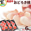 おどろき 山形 おどろき桃 2kg (5~8玉)×3箱 計6kg 秀品 桃 品種 桃 硬い パリパリ桃 山形県産 白桃 山形 お中元 果物 ギフト