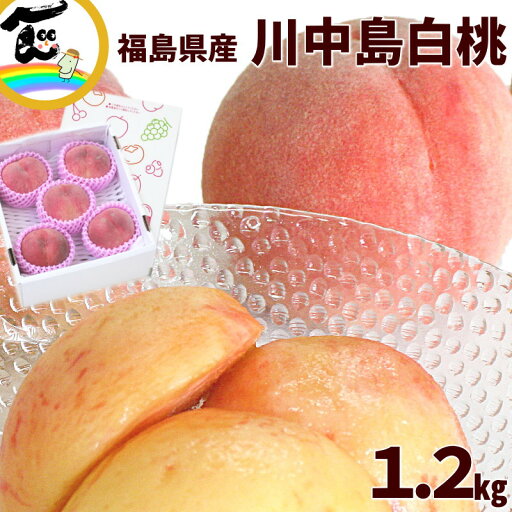 【今だけ 10%オフ!】もも 送料無料 福島県産 川中島白桃 秀品 1.2kg (4〜6玉) 【今だけ 10%オフ!】もも 送料無料 福島県産 川中島白桃 秀品 1.2kg (4〜6玉)