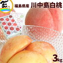 もも 送料無料 福島県産 川中島白桃 秀品 3kg (8〜12玉)