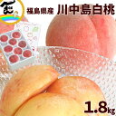 もも 送料無料 福島県産 川中島白桃 秀品 1.8kg (5〜8玉)