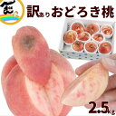 山形県産 訳あり おどろき桃 2.5kg 硬い桃