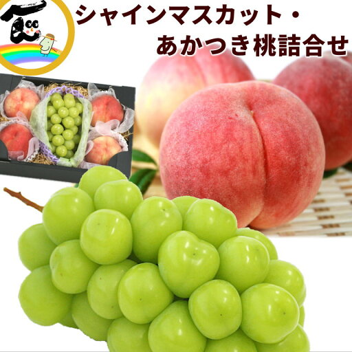 フルーツ 詰合せ ギフト 山形県産または福島県産 シャインマスカット&あかつき桃詰合せ (シャインマスカット :秀品、1房、550g、あかつき桃:秀品、4個、1個あたり300g) 桃 ぶどう フルーツ 詰合せ ギフト 山形県産または福島県産 シャインマスカット&あかつき桃詰合せ (シャインマスカット :秀品、1房、550g、あかつき桃:秀品、4個、1個あたり300g) 桃 ぶどう