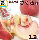 もも 桃 福島県産 さくら桃 秀品 約1.2kg(4〜6玉) がんばろう福島