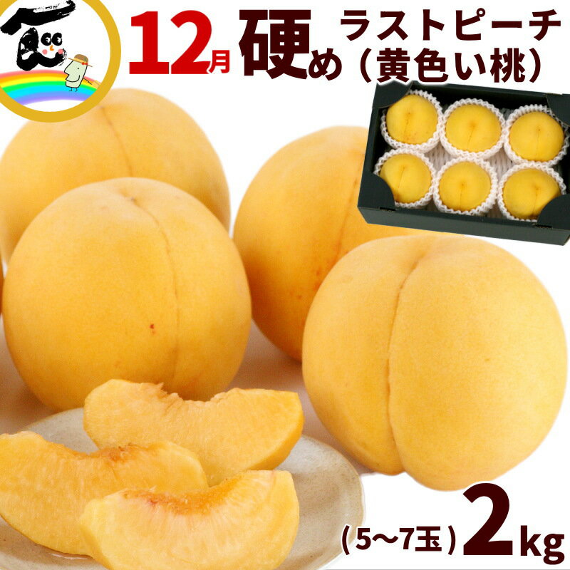 桃 12月ラストピーチ 山形県産黄桃 秀品 5～7個 約2kg momo もも ブラックフライデー 2025