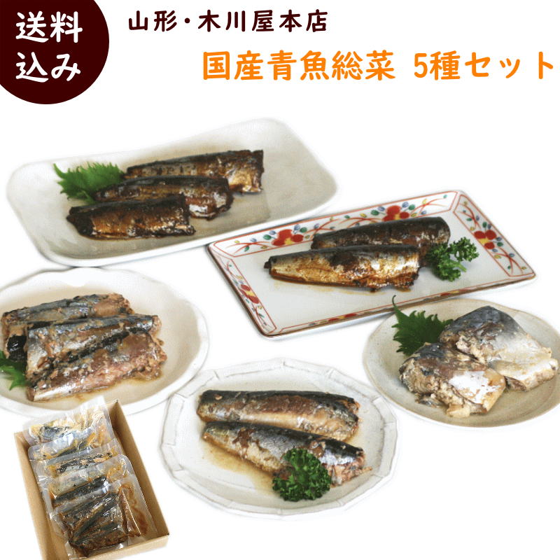 簡単調理 送料無料 山形 木川屋本店 国産青魚5種セット