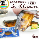 商品内容みりんを使わない みりん干し 極旨黒干し さば 6枚 (1枚約112g) 商品説明肉厚でふっくら柔らかく甘さと旨みが重なるみりん干しをお届けします。脂の乗った国産のさばを使用し、肉厚でふっくら、柔らか食感。硬くて食べづらいというみりん干しの概念を一瞬で覆されます。お魚が苦手なお子さんも、コレなら食べてくれると好評です。黒々とした見た目とは裏腹に角の取れた塩味と甘味はご飯のおかずにピッタリ！日本酒と一緒にお召し上がるのもおススメです。スーパーなどでは出会えない伝統の味をご自宅でぜひ、お楽しみください。創業以来、真っ黒な甘じょっぱ色を守り続けていますさんまのみりん干し発祥の地、福島県小名浜に工場を構えるカネキ商店は昭和25年創業以来、みりん干しひとすじの商店です。創業当時より受け継がれた秘伝のタレを煮返し、コクとミネラルが豊富な洗双糖と塩で味を整えながら伝統の味を守って来ました。魚を漬け込むたびにタレには旨みが染み出し、その旨みはどんどん凝縮されていき、みりんを使用せずとも、甘じょっぱく、いくつもの旨みの層を感じさせる唯一無二のみりん干しが完成します。数々の賞を受賞し、マスコミにも取り上げられたことのある伝統の味をぜひご自宅でお楽しみください。 発送時期ご注文より6営業日以内 原材料さば(国産)、砂糖(洗双糖)、並塩 賞味期限製造より、冷凍180日解凍後、要冷蔵(10℃以下)で15日間 保存方法冷凍(―18℃以下) お召上がり方フライパンにクッキングシートを敷いて、弱火で皮目から5~6分、表面に照りが出てきたら、裏返して、炙る程度に1分程好みで焼いてお召し上がりください。 配送方法[冷凍便]　ヤマト運輸　送料込※沖縄へのお届けは送料が別途880円かかります。 ギフト対応熨斗は、赤無地/お中元/お歳暮の3種類のみとさせて頂きます。(短冊シールタイプ/名入れ不可/サイズ:横40mm・縦130mm) 不正注文について不正購入と判断した場合にはご注文を取り消しさせて頂く場合があります。 製造・加工(資)カネキ商店おりと工房　福島県いわき市折戸字岸浦59-1 販売者やまがた物産振興機構〒993-0015　山形県長井市四ツ谷2丁目1番26号メールでのお問い合わせ⇒yamagata-kikou@shop.rakuten.co.jp電話でのお問い合わせ⇒0238-83-2160FAXでのお問い合わせ⇒0238-83-2203＼みりんを使わないみりん干し／極旨黒干し さば6枚 (1枚約112g)発送：ご注文より6営業日以内