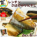 魚 惣菜 カネキ商店 みりんを使っていない みりん干しシリーズ レンチン さば 1パック(2枚入り)×6パック 計12枚 送料無料
