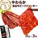 ジャーキー やわらか仙台牛 ビーフジャーキー 25g×3袋 おつまみ 送料込