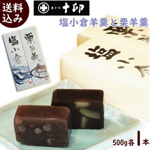 塩ようかん 送料無料 山形県川西町の老舗菓子店菓子司十印 銘菓 塩小倉羊羹と栗羊羹セット 各1本(500g) 計2本