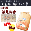 米 5kg 送料無料 令和元年産 山形県産 はえぬき 白米 5kg 生産者の顔が見える米 お試し