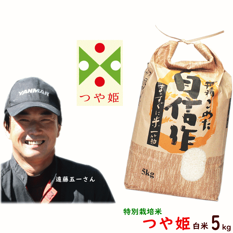 米 5kg 送料無料 令和元年産 山形県産 遠藤五一 つや姫 特別栽培米 白米 5k...