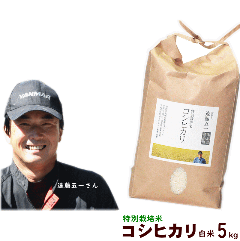 米 5kg 送料無料 令和元年産 山形県産 遠藤五一 コシヒカリ 特別栽培米 白米 ...