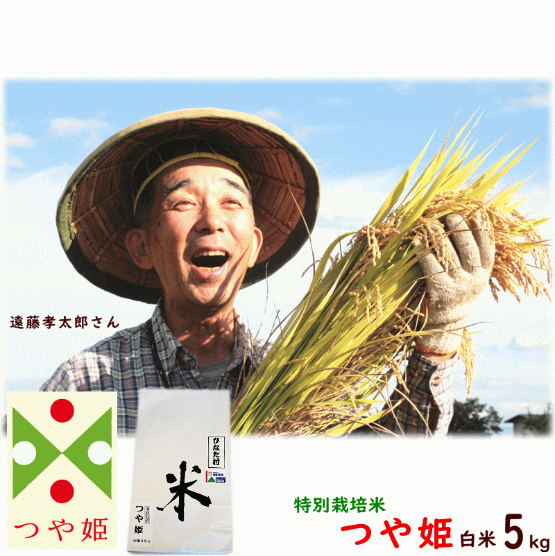 米 5kg 送料無料 令和5年産 山形県産 つや姫 白米 5