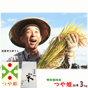 米 送料無料 令和2年産 山形県産 つや姫 白米 3kg 特別栽培米（農薬5割減 化学肥料5割減） 遠藤孝太郎 こめ お試し