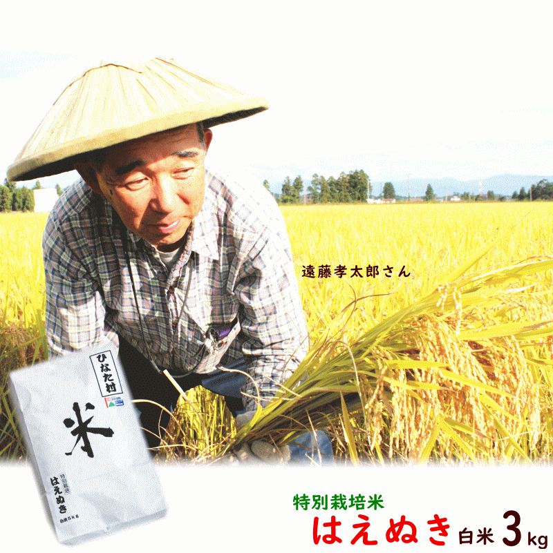 米 送料無料 令和元年産 山形県産 はえぬき 3kg 白米 特別栽培米 遠藤孝太郎 ...