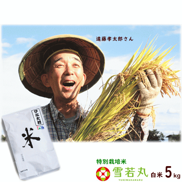 米 5kg 送料無料 令和元年産 山形県産 雪若丸 白米 5kg 特別栽培米（農薬5割減 化学肥料5割減） 遠藤孝太郎 こめ ゆきわかまる