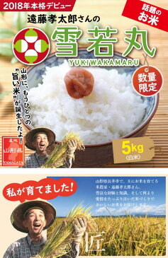 米 5kg 送料無料 令和元年産 山形県産 雪若丸 白米 5kg 特別栽培米（農薬5割減 化学肥料5割減） 遠藤孝太郎 こめ ゆきわかまる