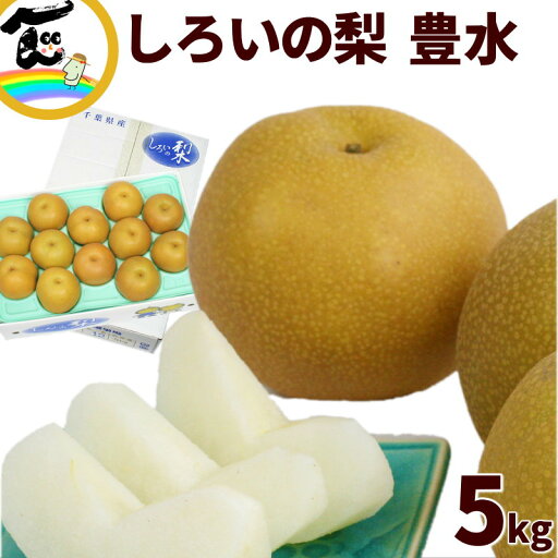 和梨 千葉県産 白井の梨 豊水 5kg (12〜18玉) しろいの梨 和梨 千葉県産 白井の梨 豊水 5kg (12〜18玉) しろいの梨