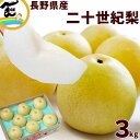 和梨 二十世紀梨 長野県 原りんご園 二十世紀梨 3kg 秀品 (7~9玉) 20世紀