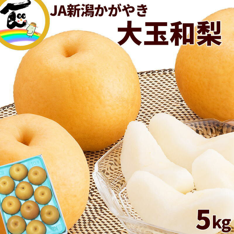 梨 JA新潟かがやき 大玉和梨 秀品 5kg 6～10玉　※品種おまかせ（新高・新興など）