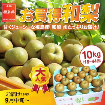 梨 送料無料 10kg お買得 梨 福島県産 (18〜44玉) 和梨 なし 豊水 ギフト 贈り物 訳あり 個選品