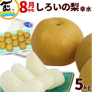 梨 送料無料 千葉県産 白井の梨 幸水 5kg (12〜18玉) しろいの梨