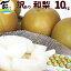 梨 送料無料 10kg 訳あり お買得 梨 福島県産 (18〜44玉) 和梨 なし 豊水 ギフト 贈り物 訳あり 個選品