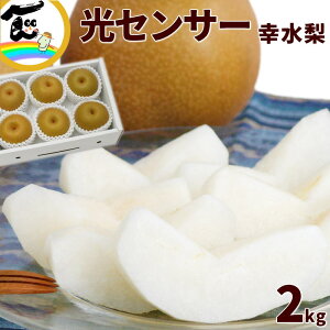 梨 福島県産 光センサー梨 幸水 秀品 2kg（4～6玉） ギフト 贈り物