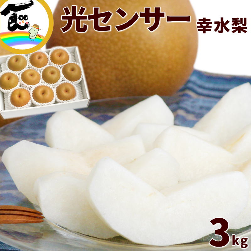 梨 梨 幸水 福島県産 光センサー梨 幸水 秀品 3kg（6～10玉） ギフト 贈り物