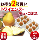 洋梨 コミス 送料無料 【まとめ買いでお得★ 山形 トワイエ...