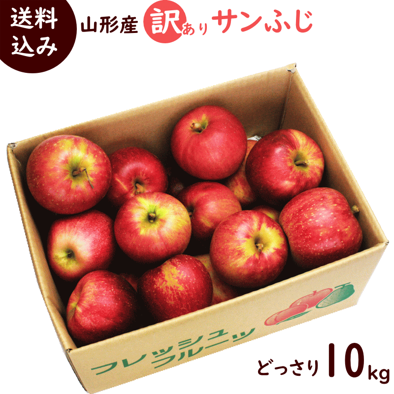 2020年11月下旬発送 りんご サンふじ 訳あり 10kg 送料無料 (玉数おまかせ) リンゴ