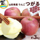 りんご つがる 山形県産 約3kg(8~11玉) 甘くて酸味ひかえめ ジューシー 食感抜群 果物 フルーツ 秋 ギフト 家庭用