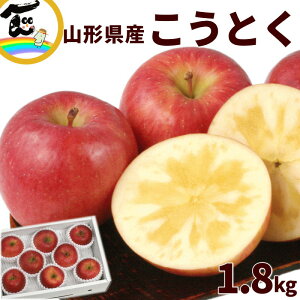 山形 リンゴ こうとく 1.8kg (7〜12玉) 高徳りんご 蜜入り りんご