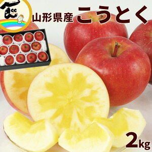 山形 リンゴ こうとく (高徳) 2kg （6〜11個）高徳りんご 蜜入り りんご