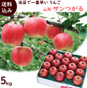 りんご 送料無料 山形県産 サンつがる 5kg (16〜18...
