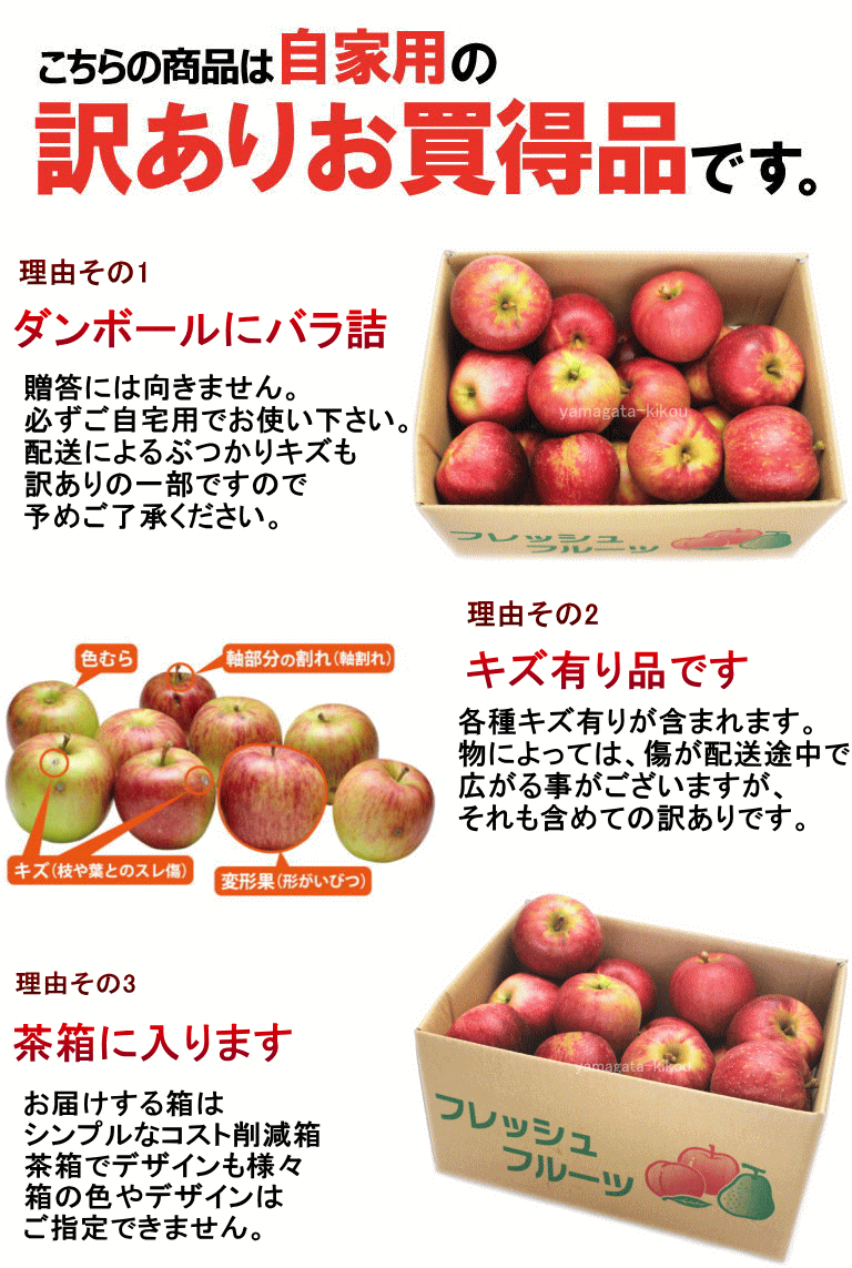 10月下旬発送 りんご 送料無料 訳あり 山形 早生ふじ 10kg(玉おまかせ)