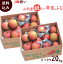 りんご 送料無料 訳あり 山形早生ふじ 10kg×2箱 (玉数おまかせ) まとめ買い