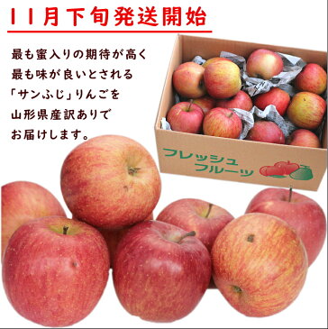 りんご 訳あり 10kg 送料無料 山形県産 サンふじ 10kg (玉数おまかせ)