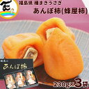 かき 福島県産 種まきうさぎ あんぽ柿(蜂屋柿) 230g×3袋